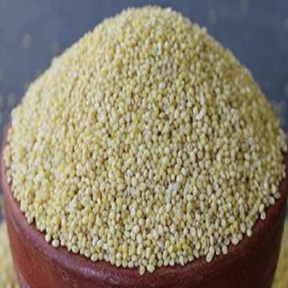 Picture of Proso Millet (चेना) 500 gm