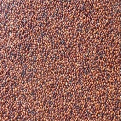 Picture of Finger Millet (Ragi) 500 gm