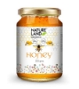 Picture of Honey  250 Gm NatureLand