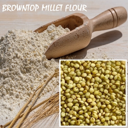 Picture of Browntop Millet Atta (Flour) 500gm