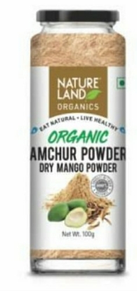 Picture of Amchur Powder 100gm NatureLand Organic