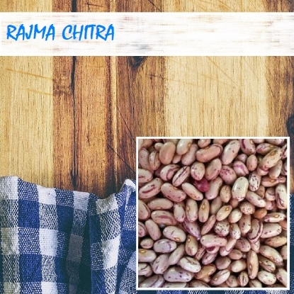 Picture of Rajma Chitra 500gm Regular