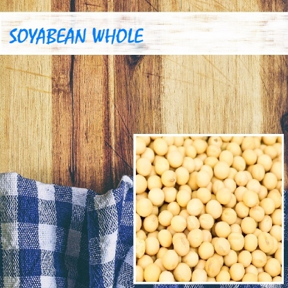 Picture of Soyabean Whole 500gm Regular