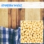 Picture of Soyabean Whole 500gm Regular